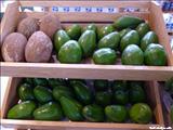 El Mercado de Bayamón - BAYAMÓN